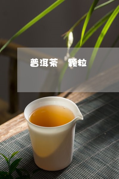 普洱茶 颗粒/2023042818829